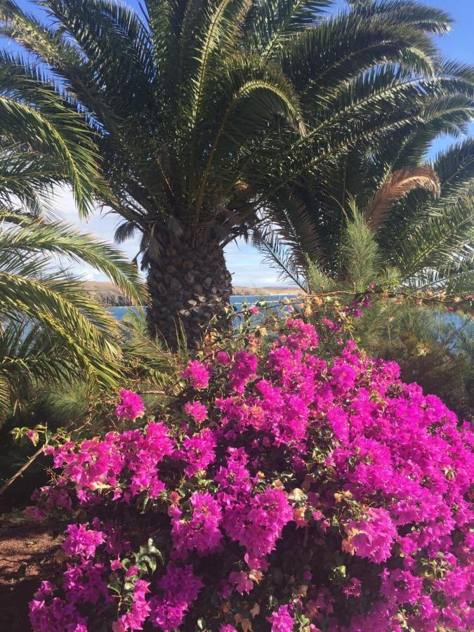 Les Terrasses Levantines Apartamento Île du Levant