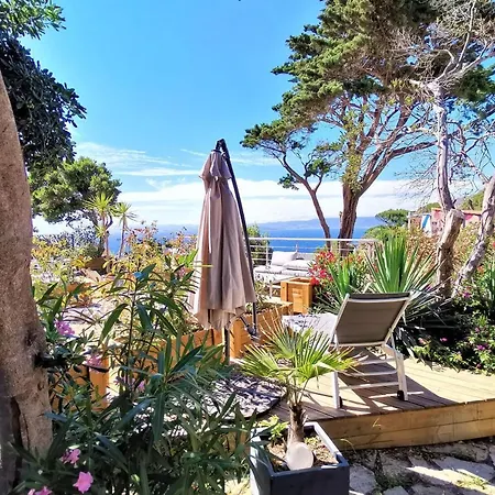 Les Terrasses Levantines Ile du Levant Exterior photo