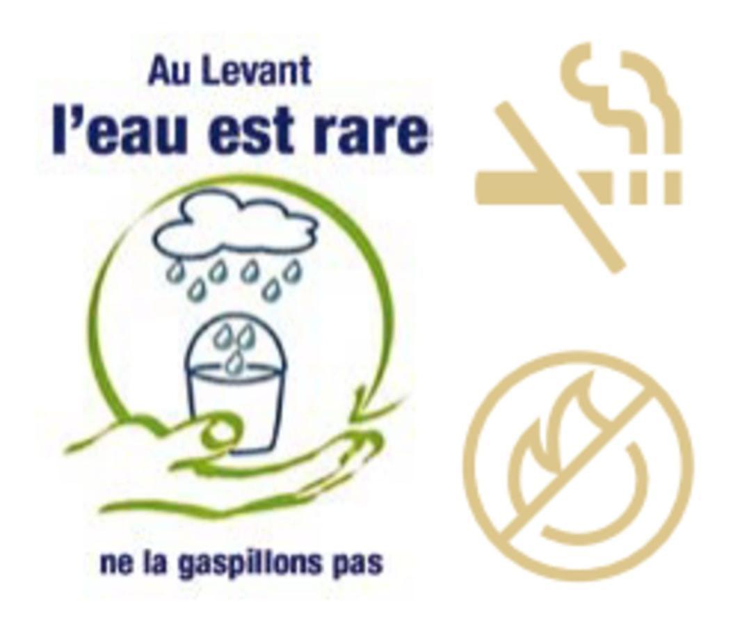 Les Terrasses Levantines Appartamento Île du Levant