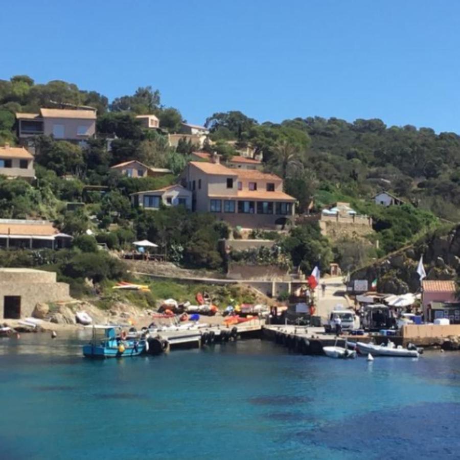 Appartement Les Terrasses Levantines Île du Levant