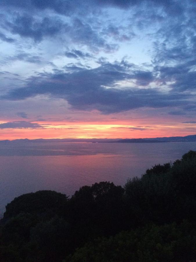 Les Terrasses Levantines